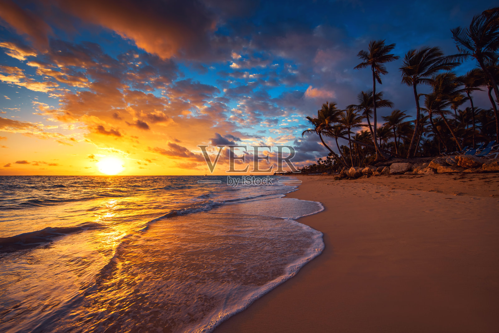 多米尼加共和国蓬塔卡纳热带海滩上的棕榈树照片摄影图片