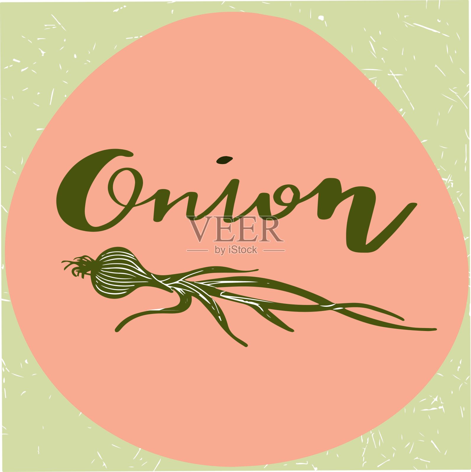 向量创意标志型设计的交易洋葱蔬菜。字母O包含在洋葱的标志。徽章孤立的着色背景。插画图片素材