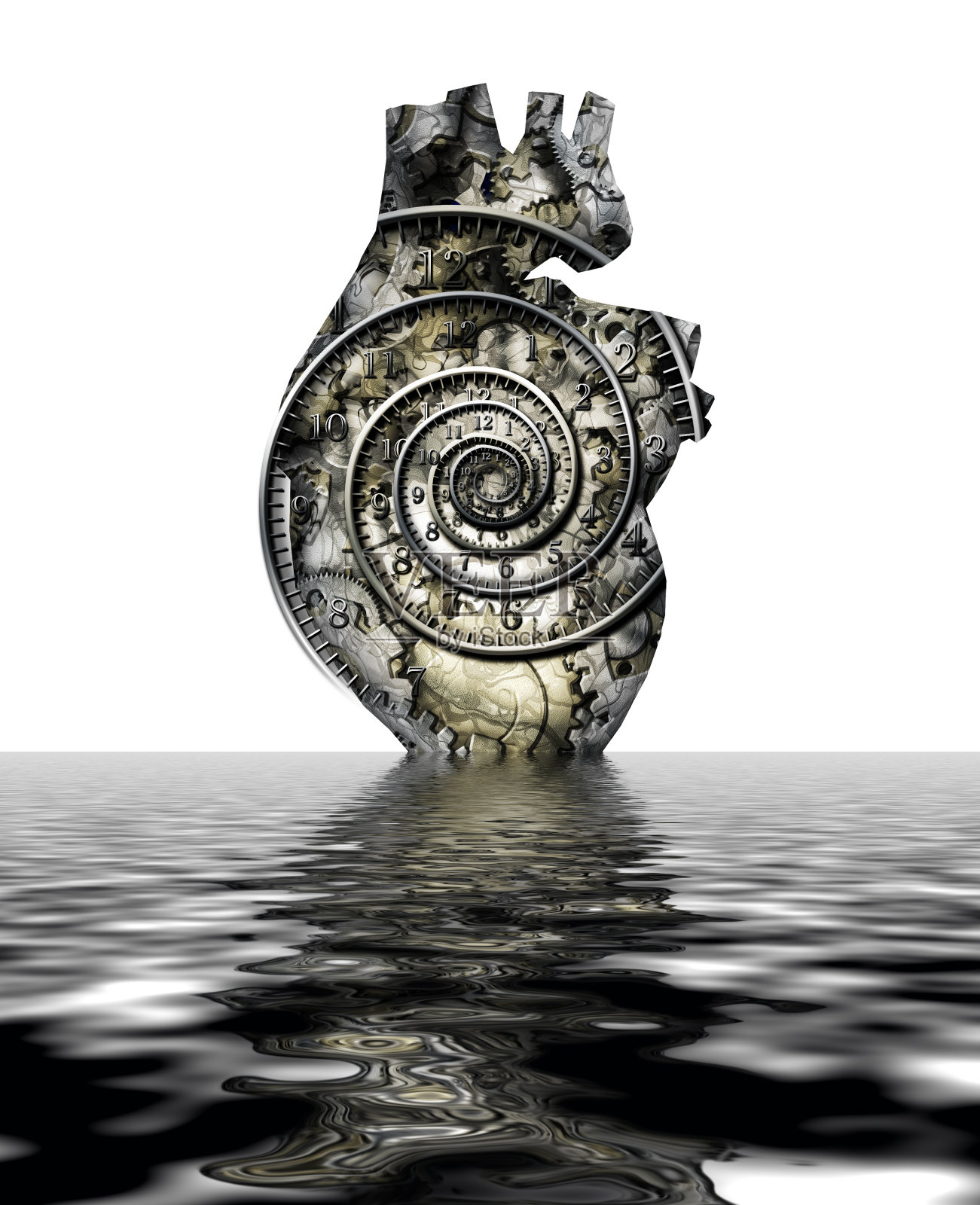 人类的心脏照片摄影图片