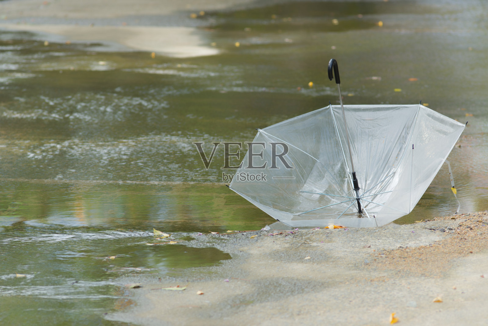 伞照片摄影图片