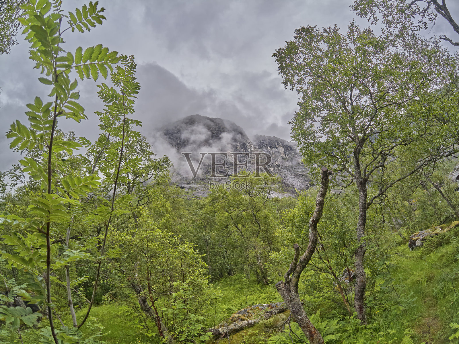 穿越美丽无比的挪威。照片摄影图片
