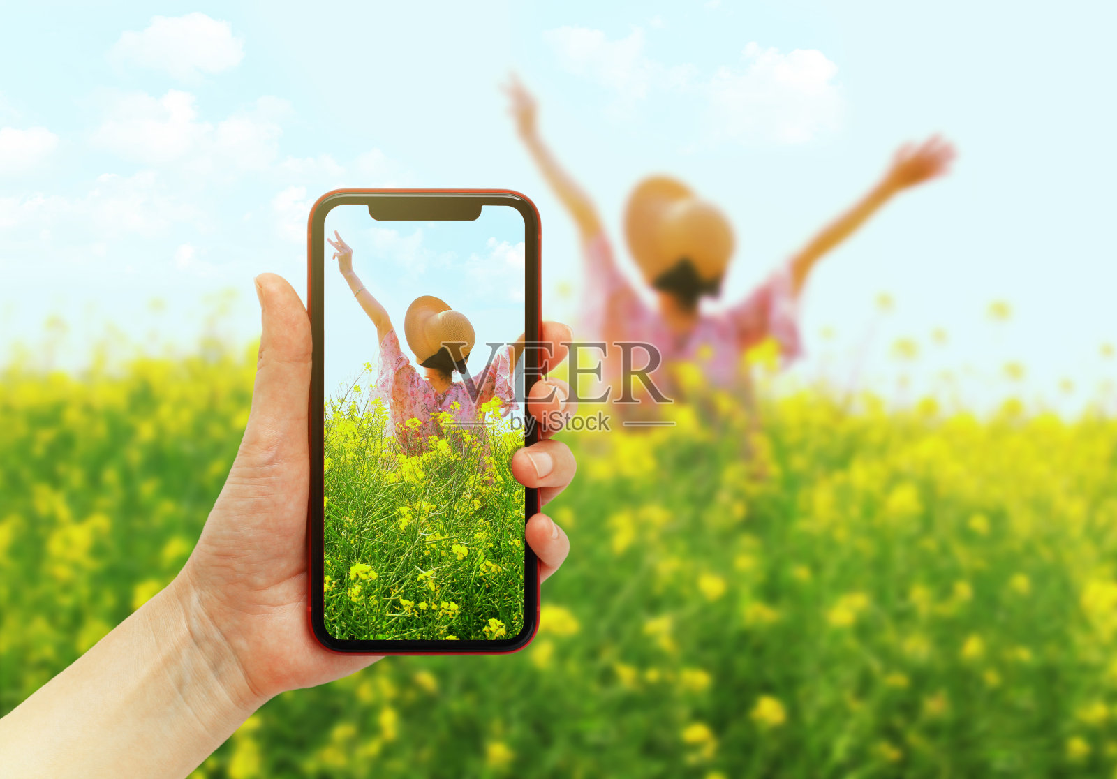 日落时分，用智能手机在油菜花田里拍美女照。照片摄影图片