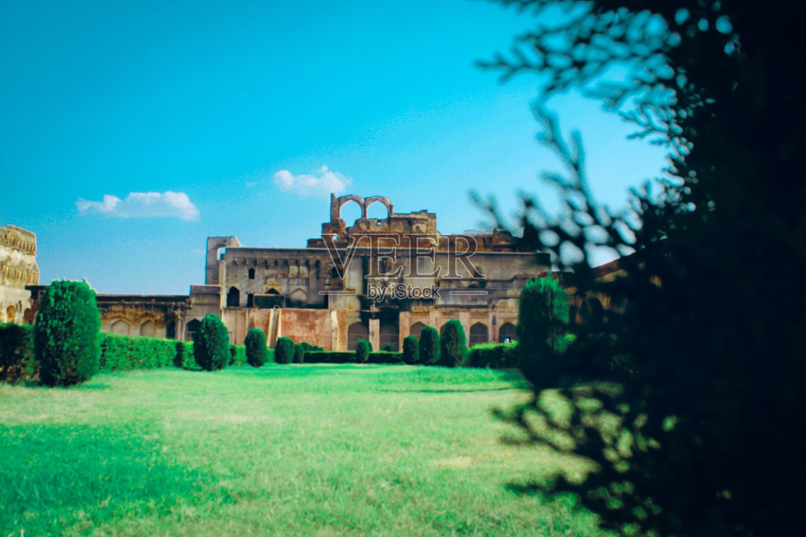 蓝天下的树木和建筑物照片摄影图片