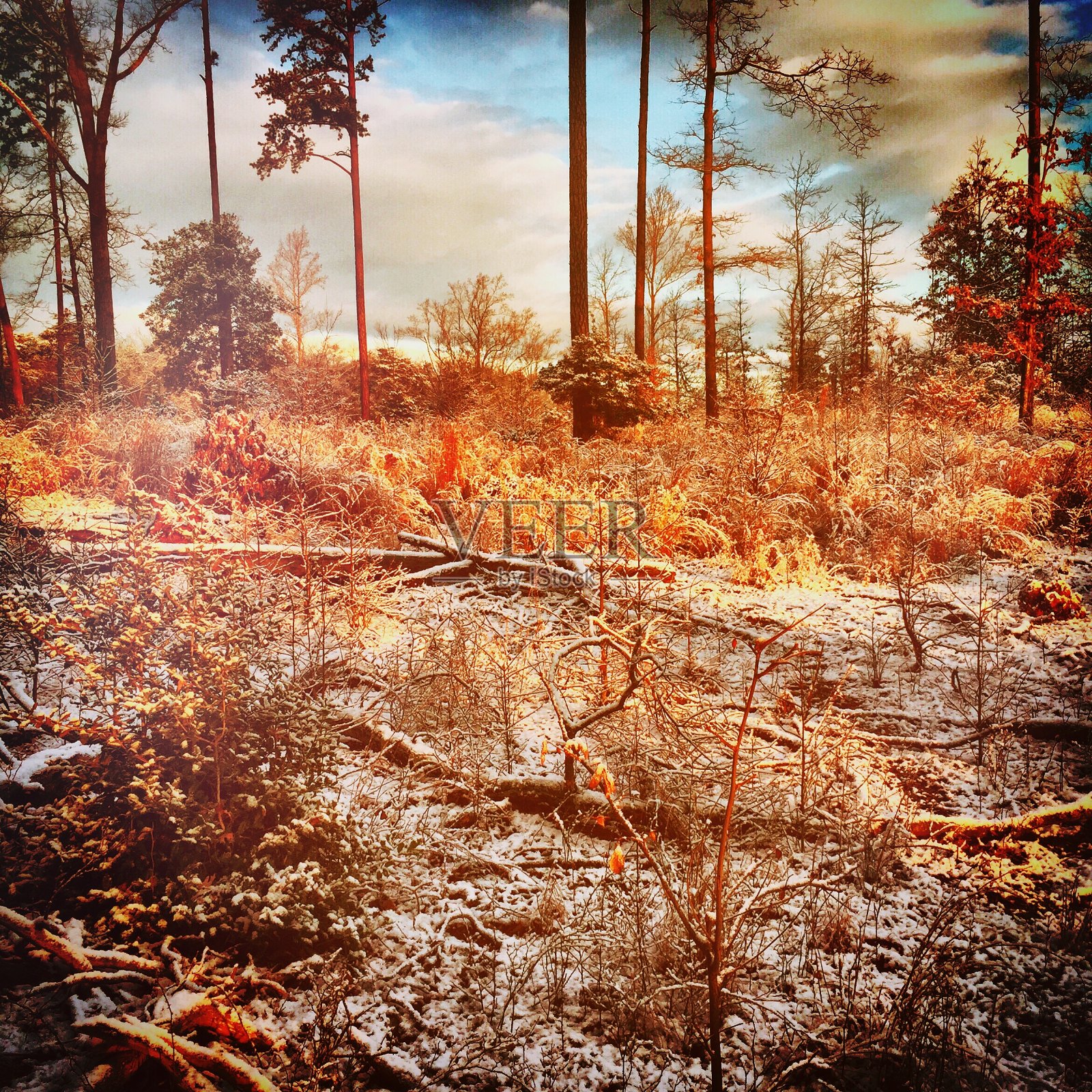 经过冬天照片摄影图片