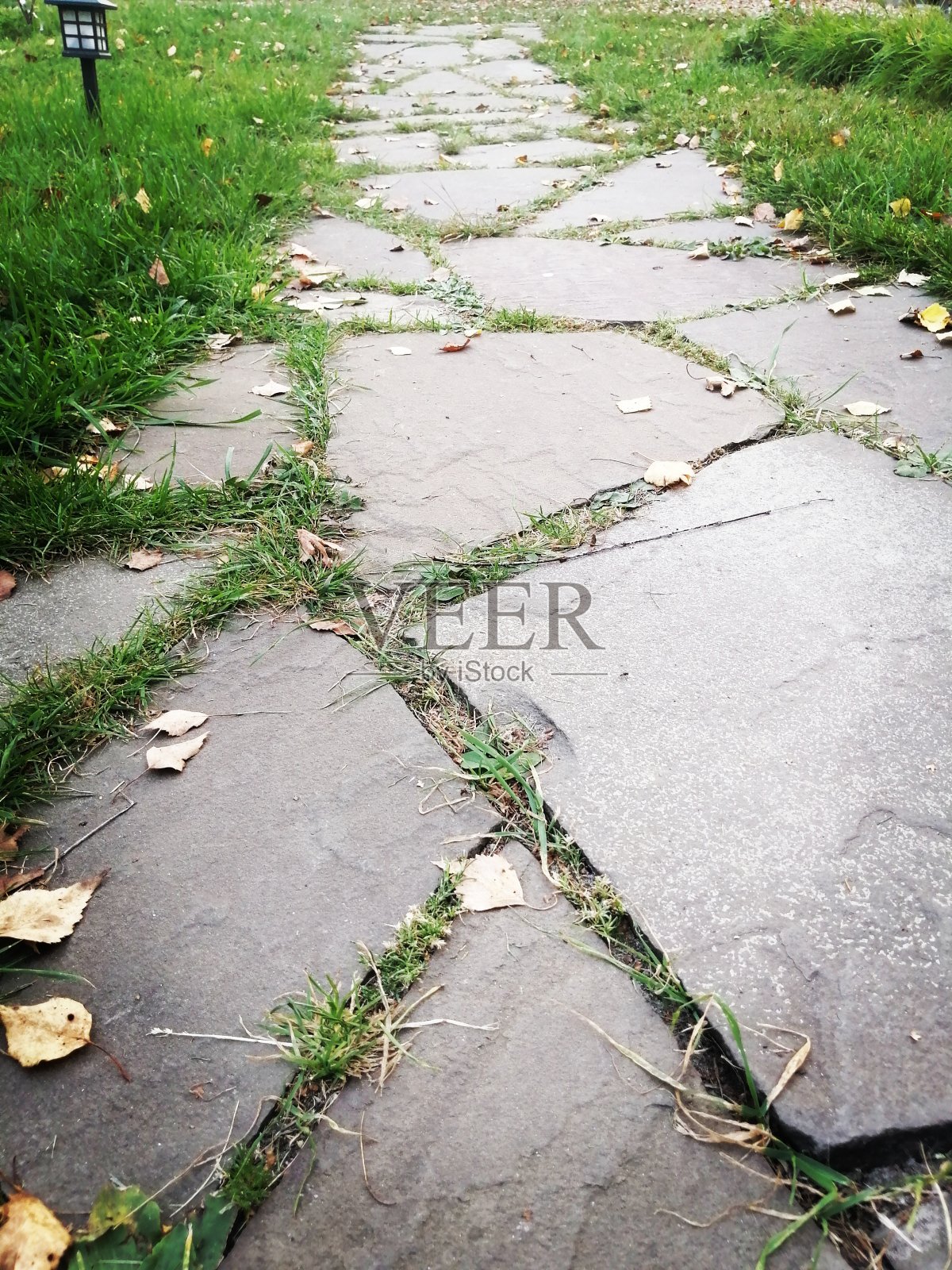 乡间的石径照片摄影图片