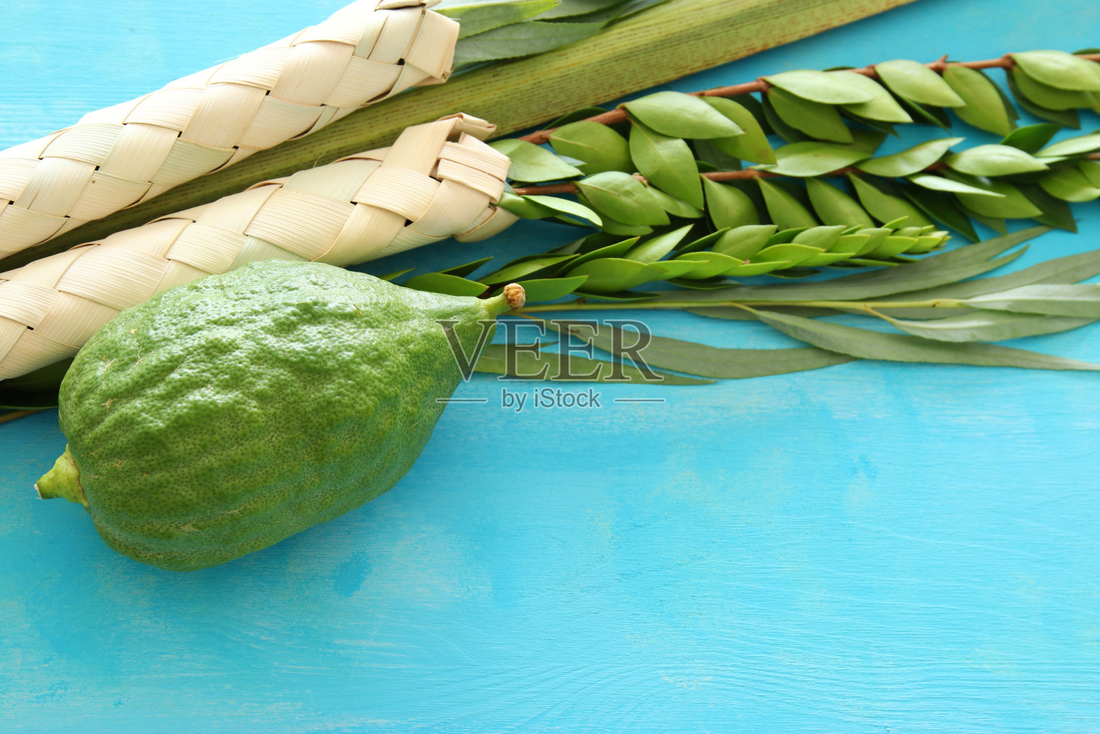 犹太住棚节的宗教形象。传统符号(四种):Etrog, lulav, hadas, arava照片摄影图片