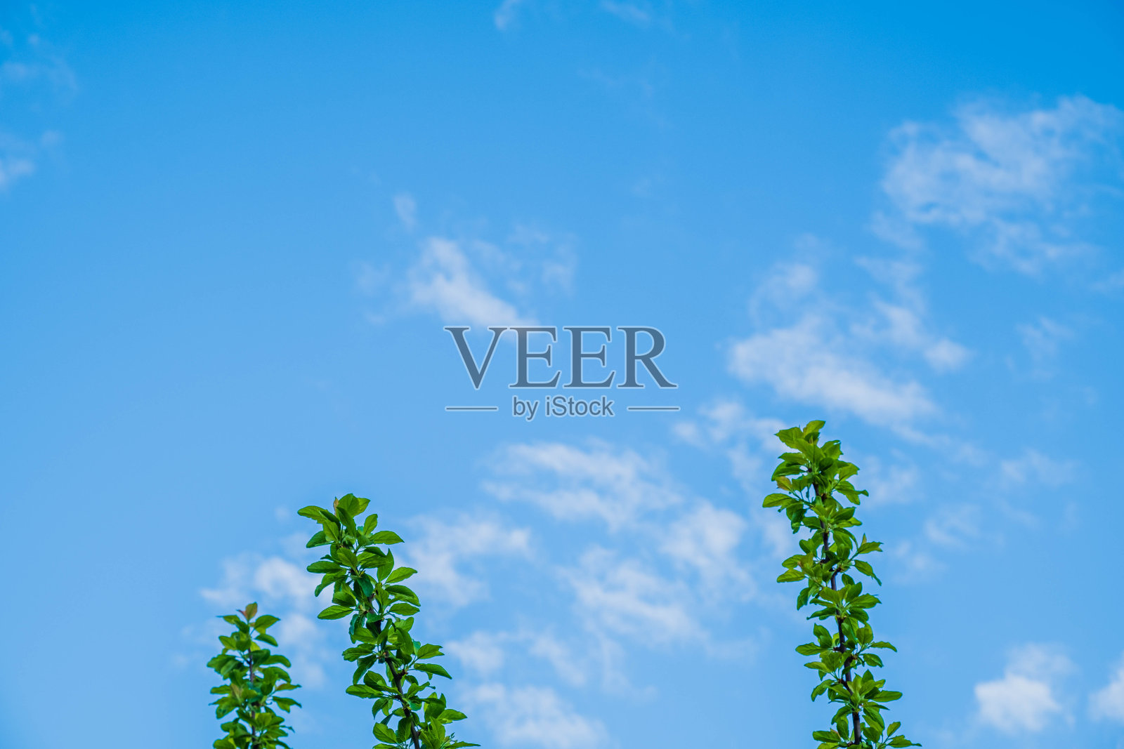 雨前的晚霞，蓝天照片摄影图片