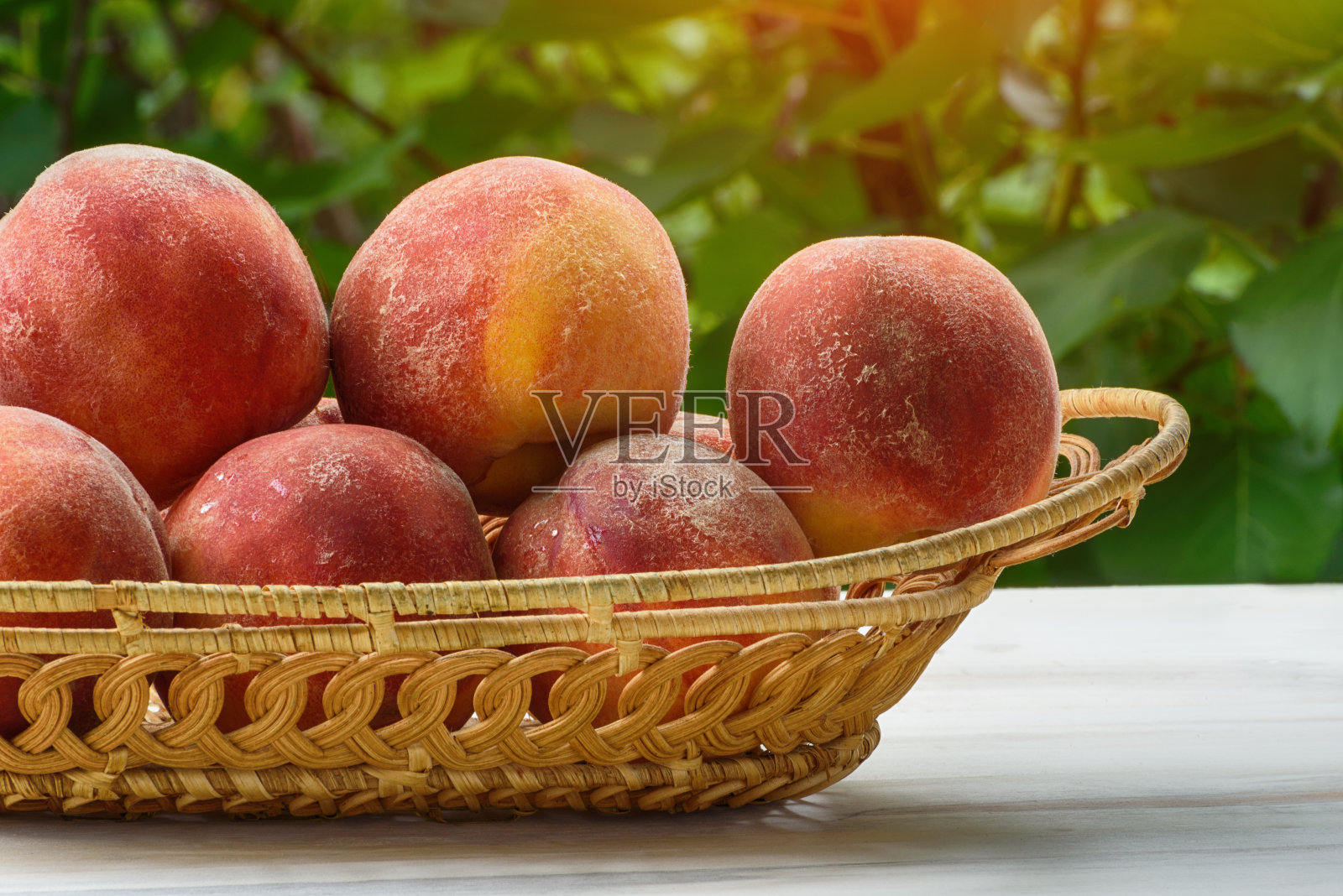 成熟的桃子在柳条篮子里，绿色的花园在背景。特写镜头。水果的季节照片摄影图片