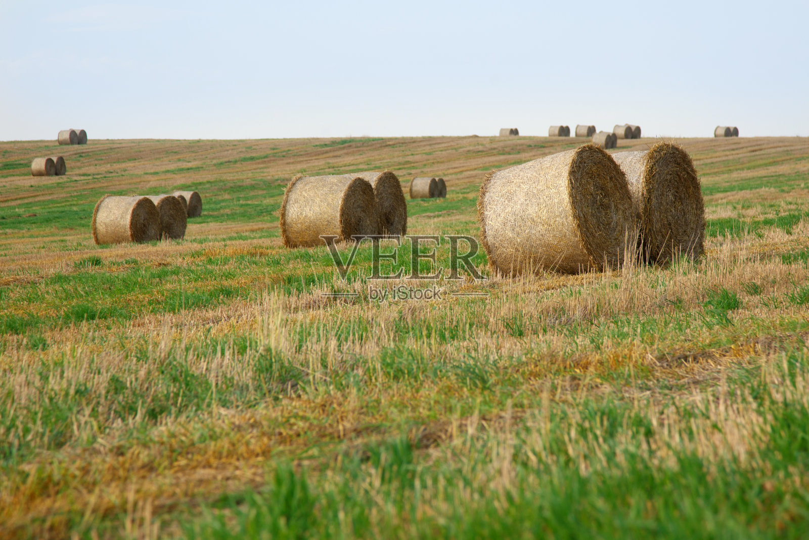 夏收后的田野照片摄影图片