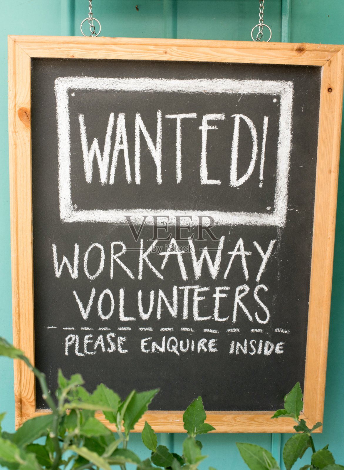 招聘告示栏:志愿者工作照片摄影图片