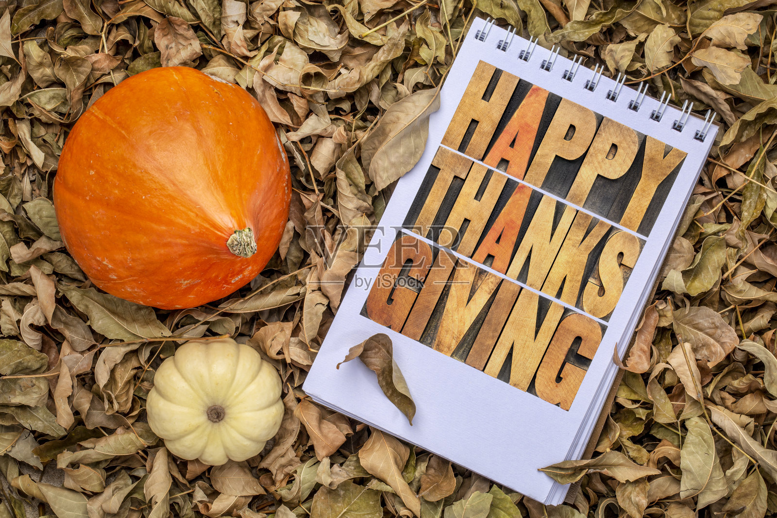 感恩节贺卡快乐照片摄影图片