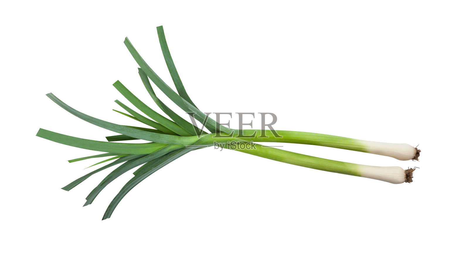 在白色背景上孤立切成薄片的青葱照片摄影图片