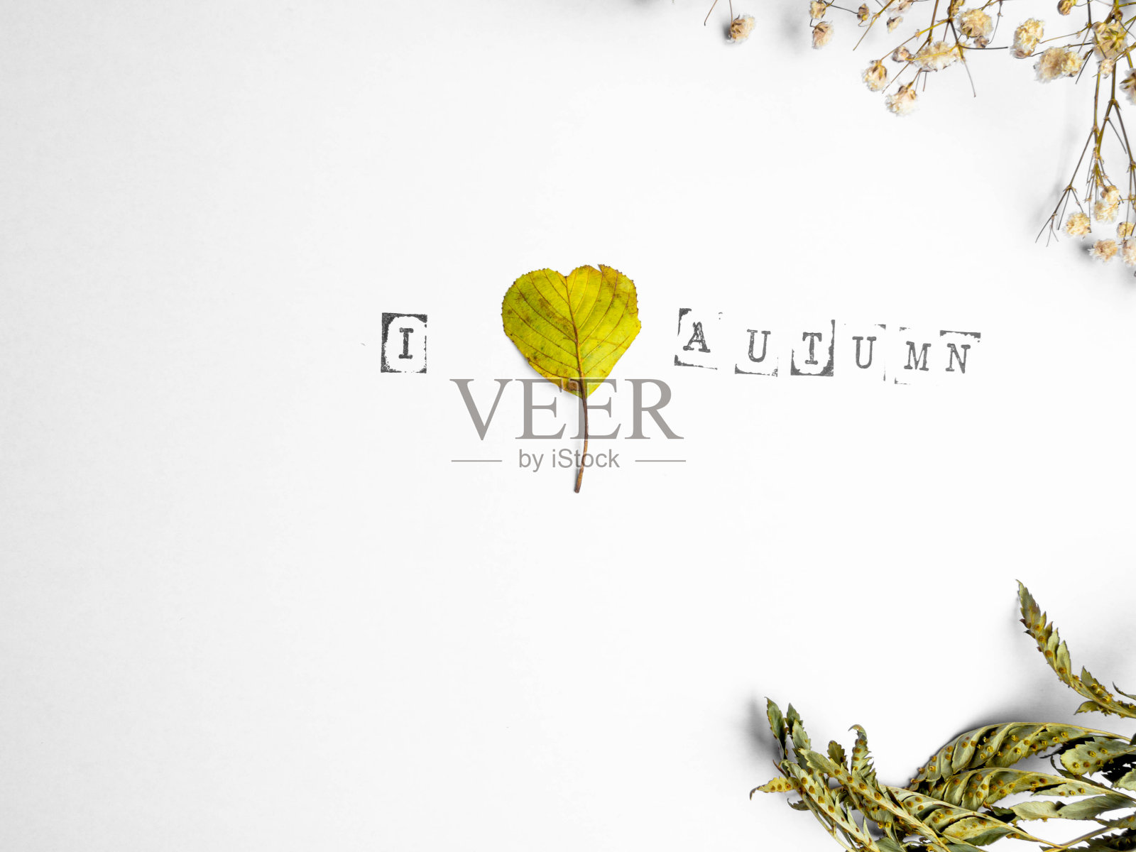 一片带心形和花朵的秋叶，复制空间照片摄影图片