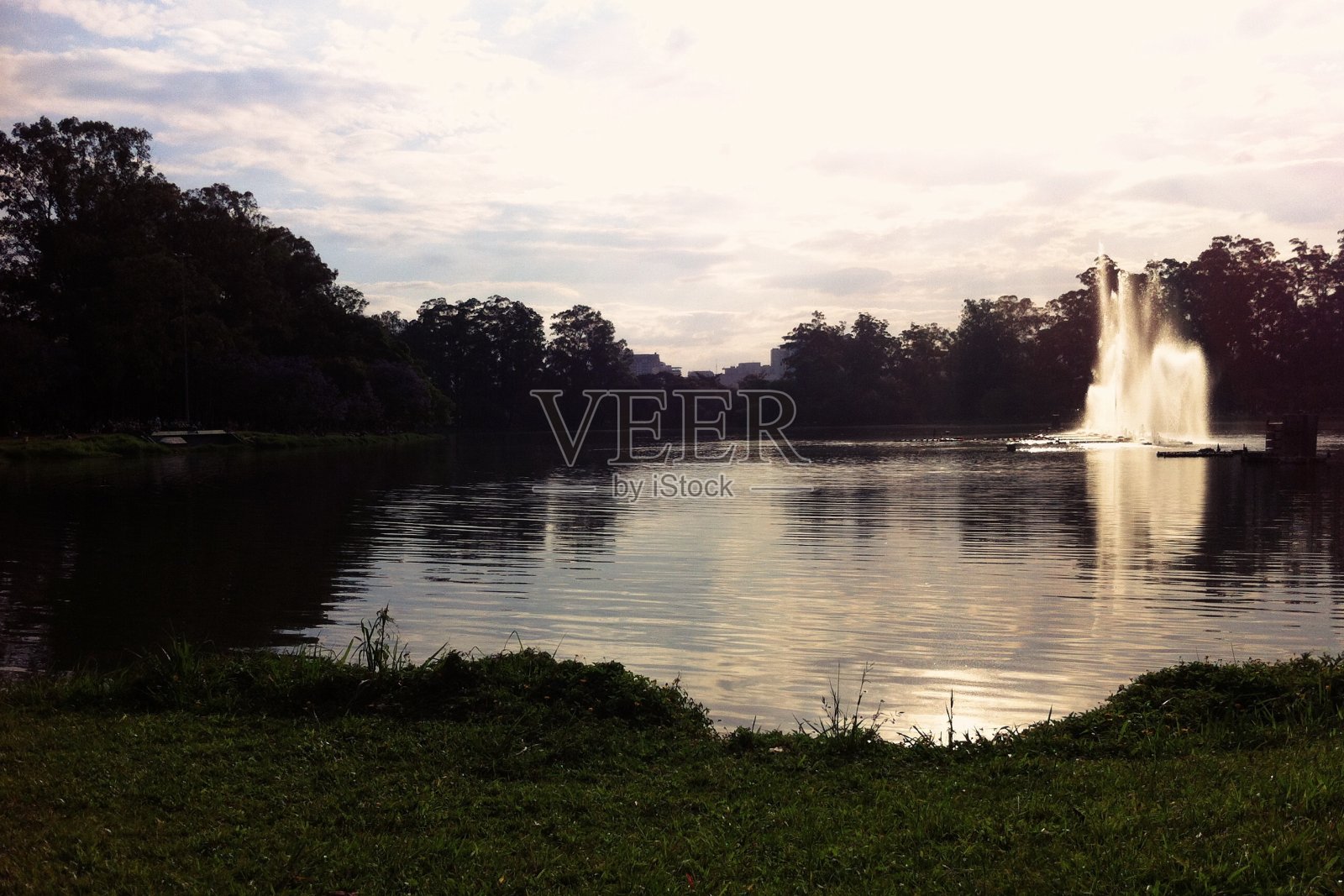 公园分。照片摄影图片