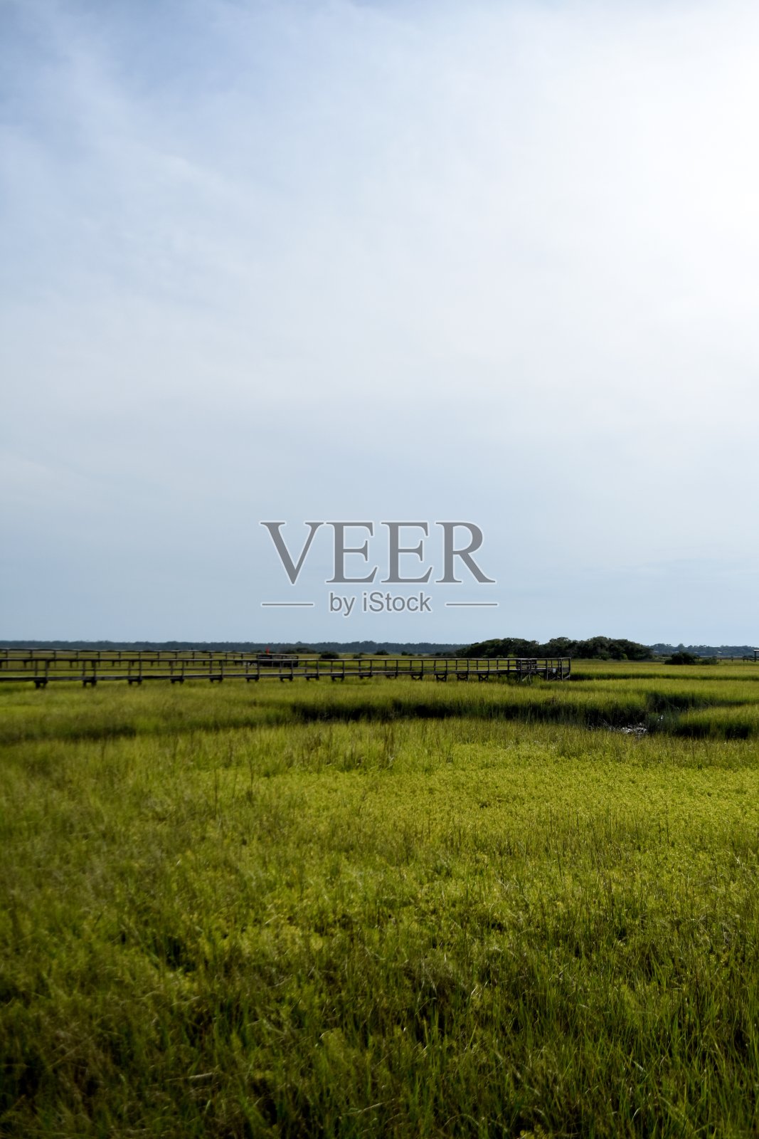 佛罗里达蔚蓝的天空照片摄影图片