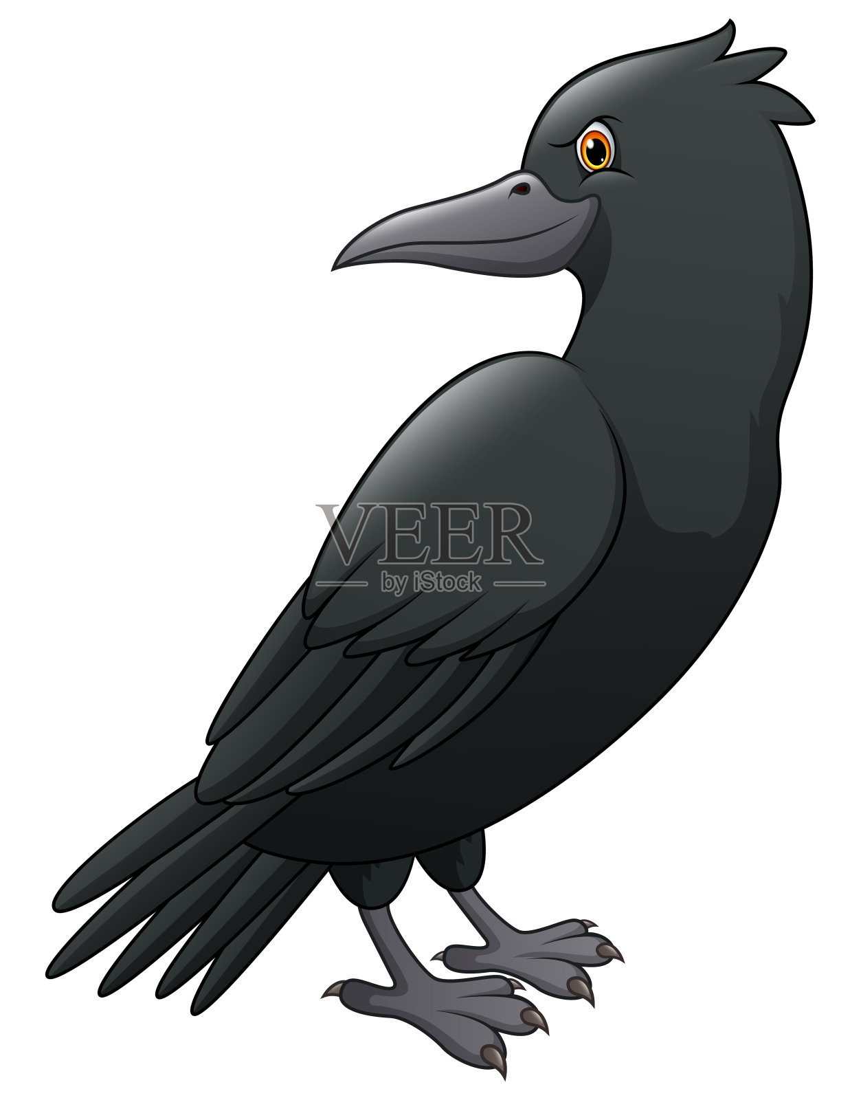 卡通乌鸦孤立在白色背景设计元素图片