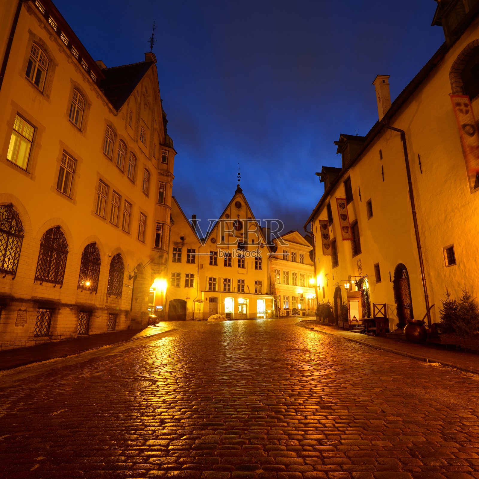 爱沙尼亚塔林城。冬季夜间全景图照片摄影图片