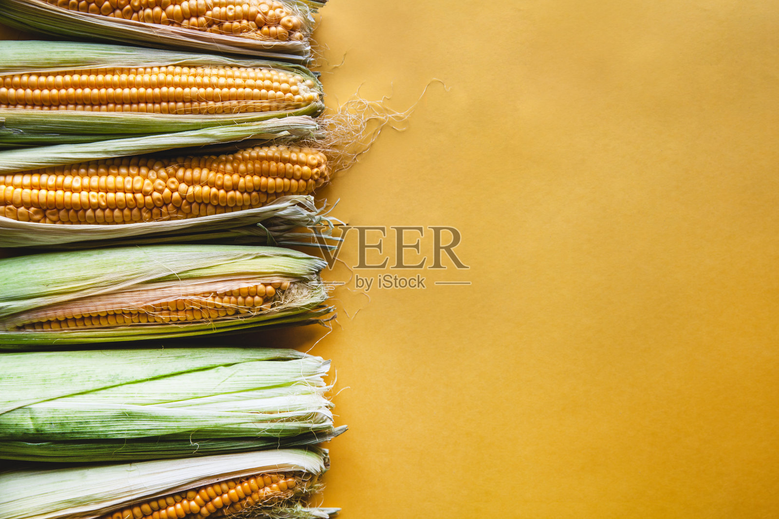 黄色背景上的新鲜玉米。美味的食物,蔬菜照片摄影图片
