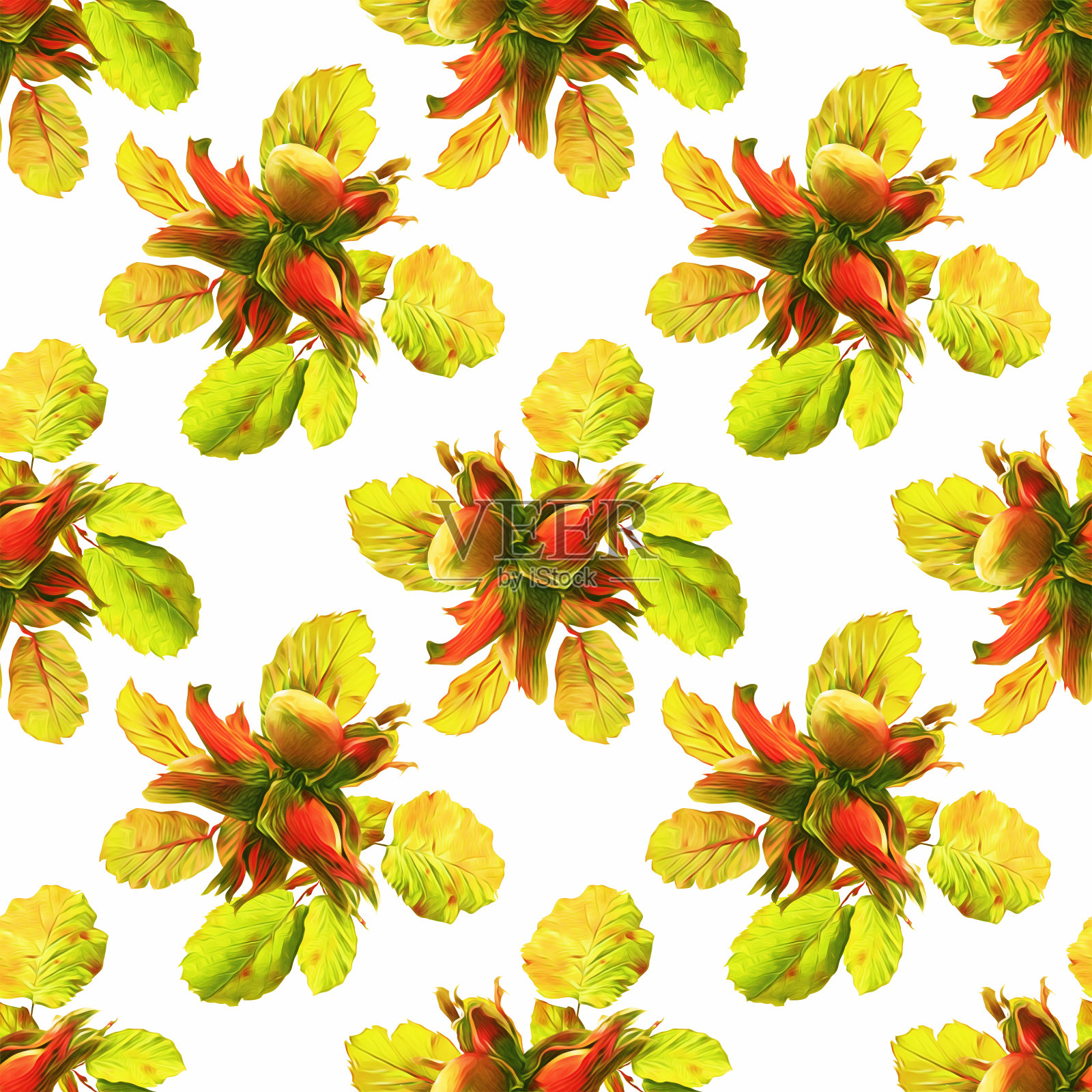 坚果无缝模式。水彩插图。插画图片素材