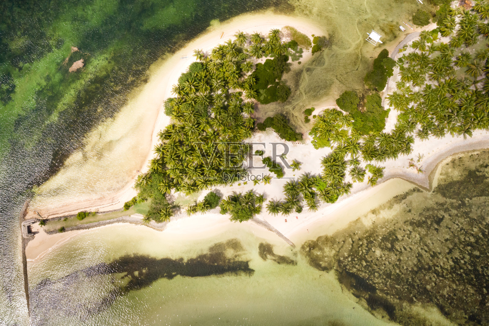 热带岛屿，棕榈树和白色沙滩，俯视图。菲律宾的海滩照片摄影图片