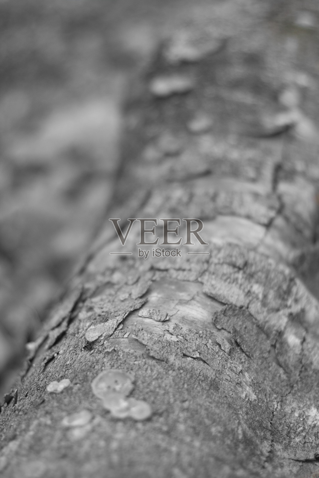 亚南查加切米伦国家公园照片摄影图片