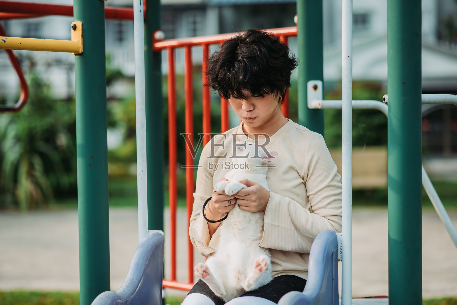 亚洲华人女性玩她可爱的白猫在滑动设备公共公园上午照片摄影图片