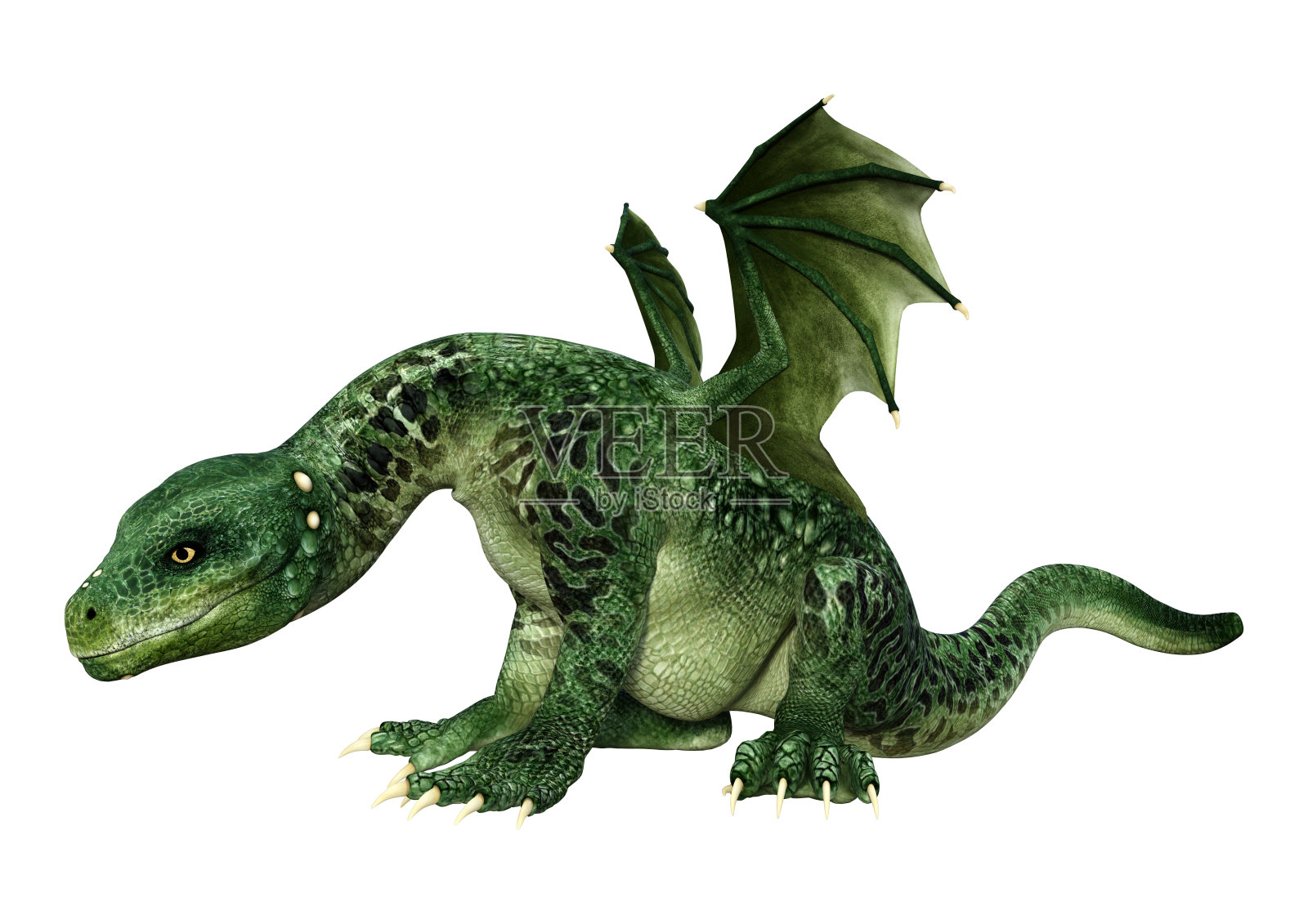 3D插图幻想龙在白色照片摄影图片