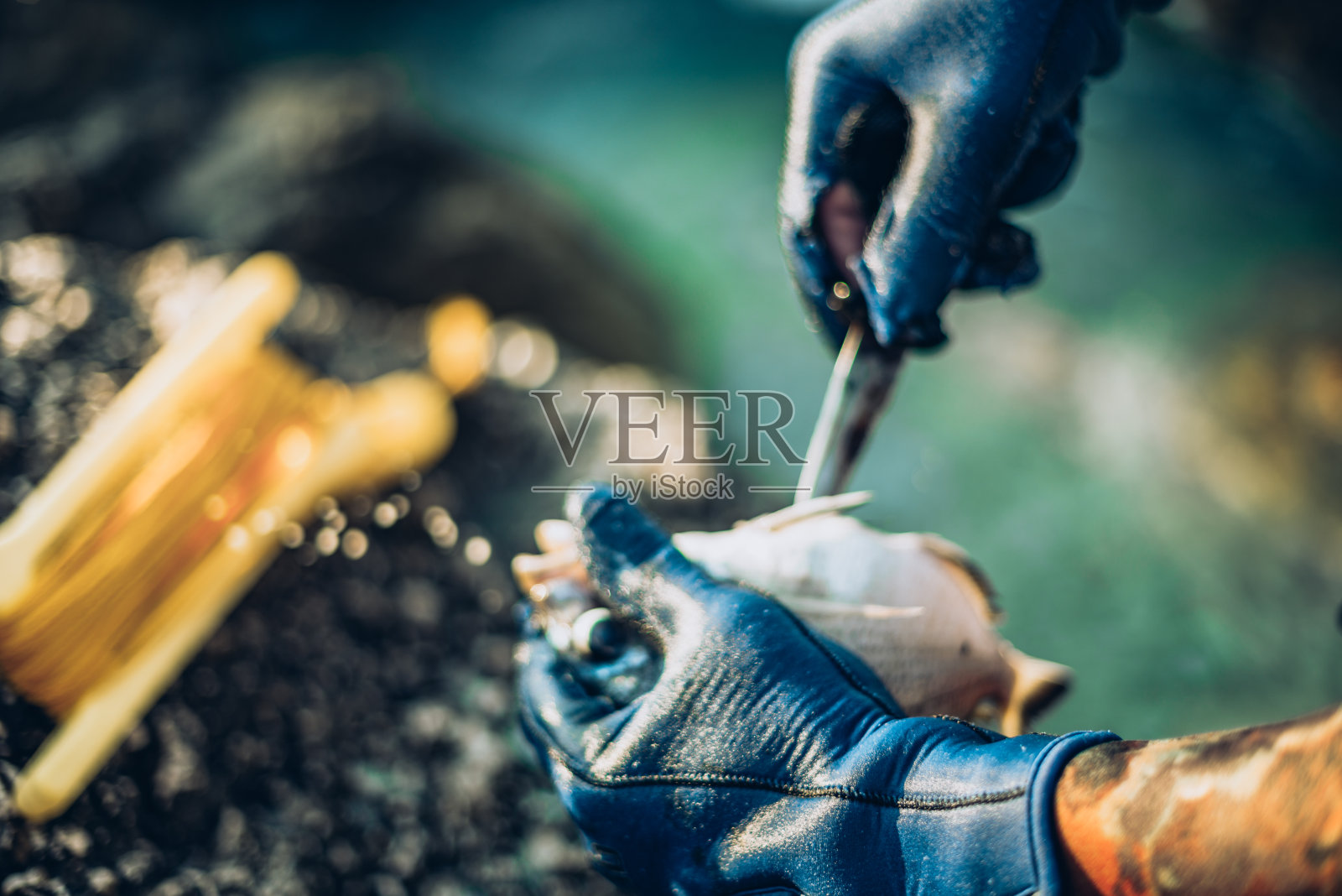 水下猎人正在清理新鲜的鱼照片摄影图片