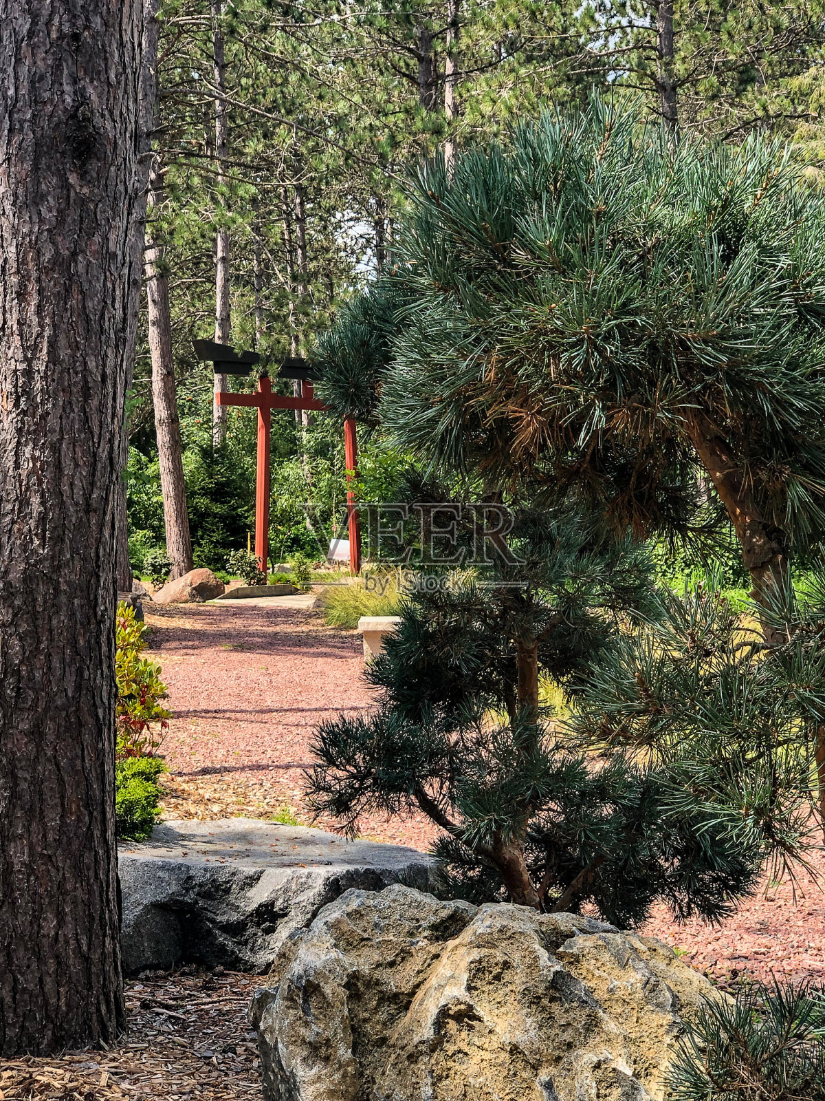 在植物园树木旁的拱门照片摄影图片