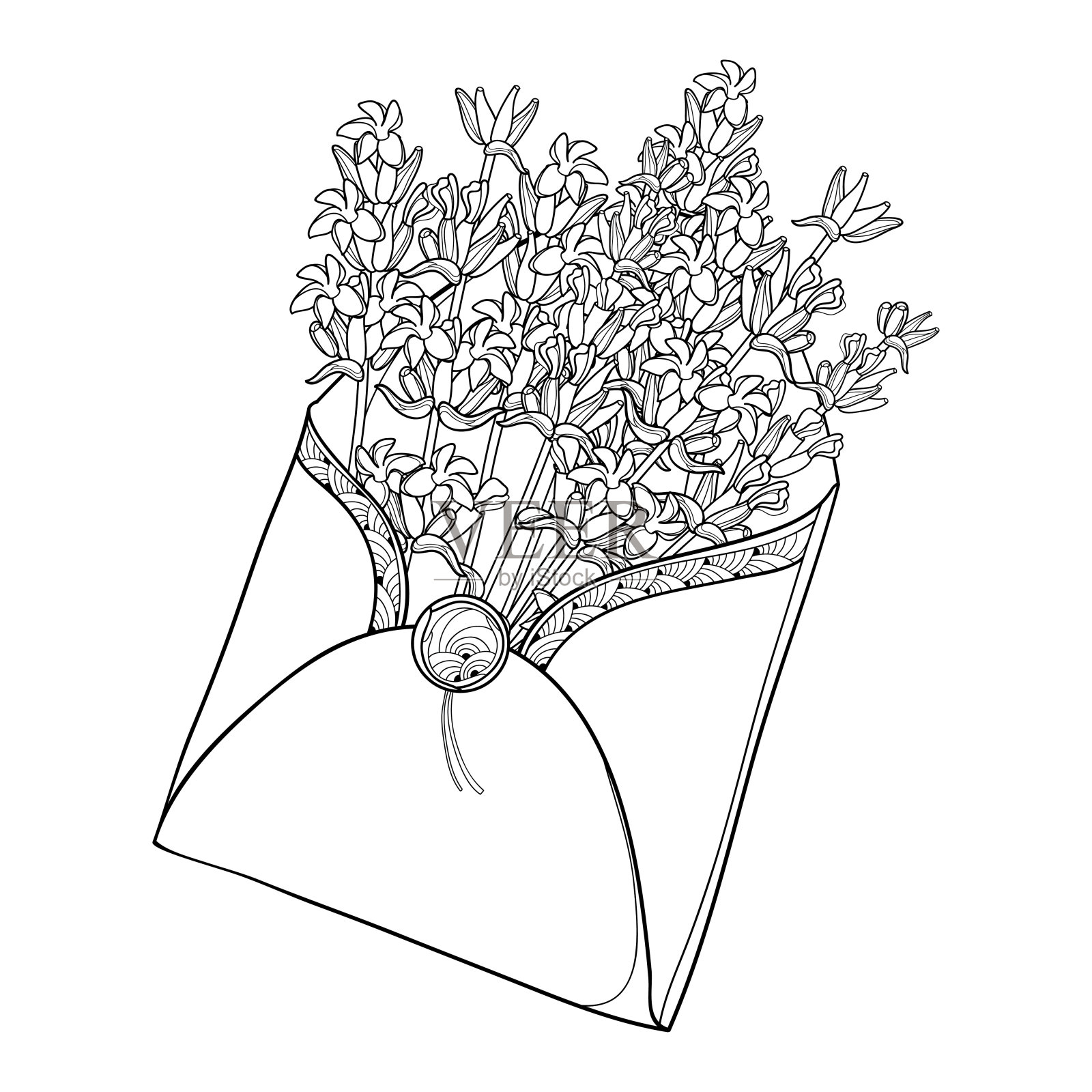 矢量花束与轮廓薰衣草束，花蕾和叶子在开放的工艺信封在黑色孤立在白色背景。插画图片素材