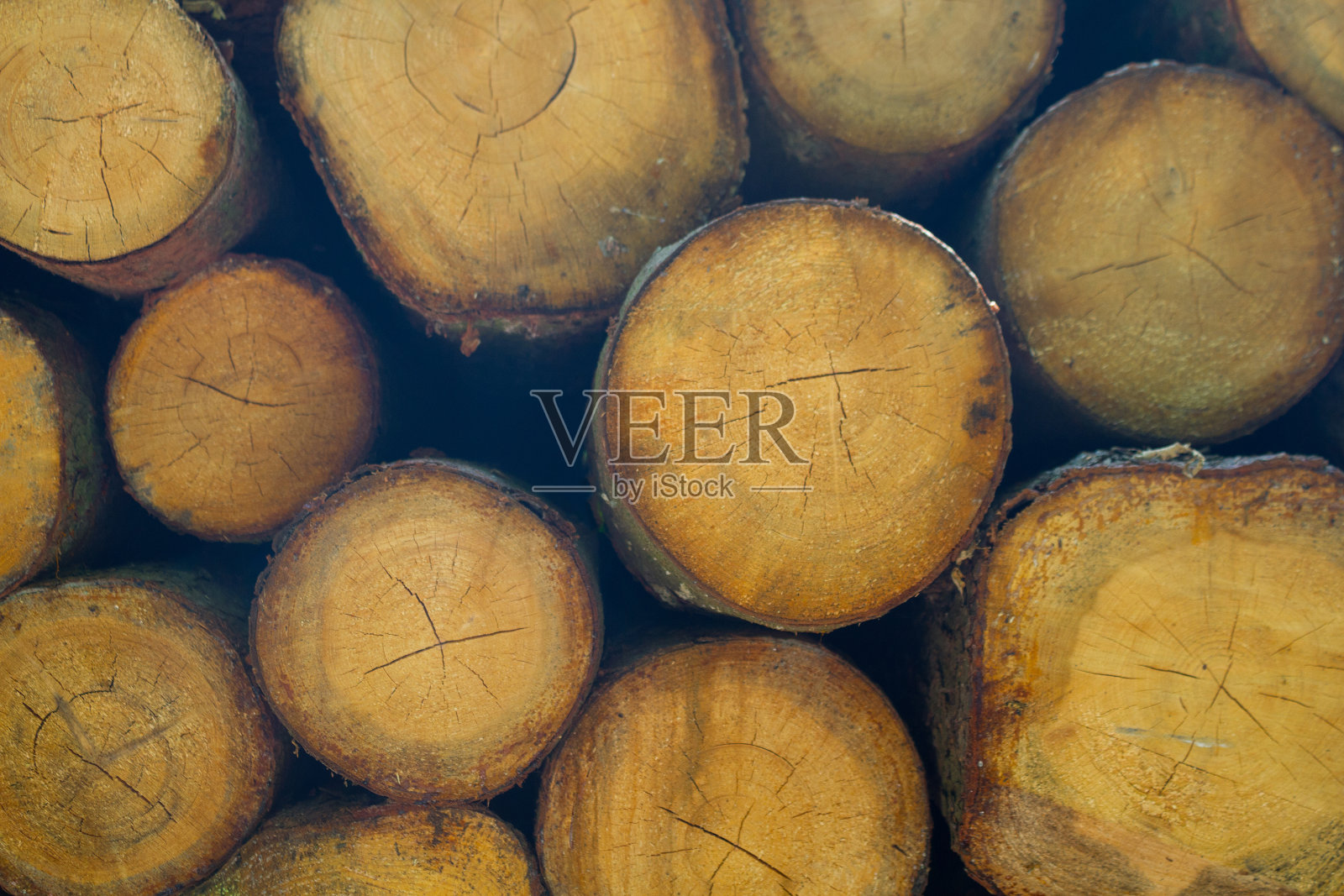 柴火背景图像照片摄影图片