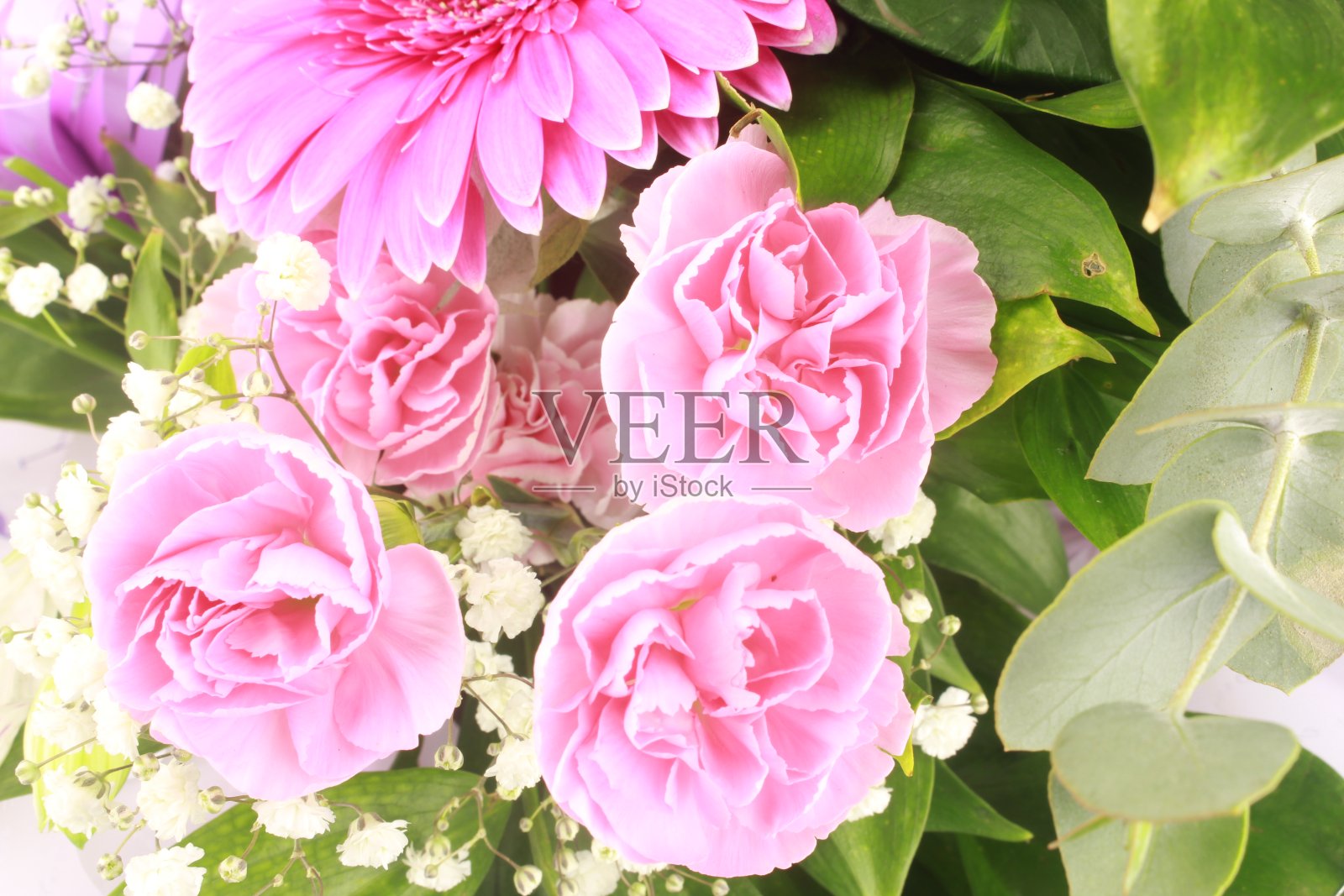 颜色。照片摄影图片