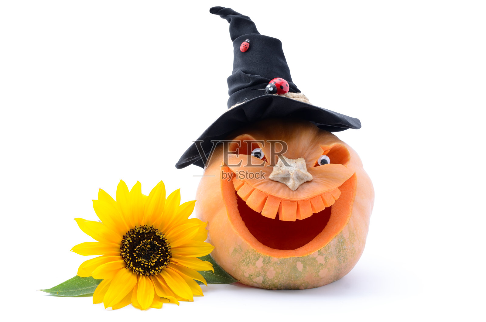 万圣节南瓜孤立在白色背景照片摄影图片