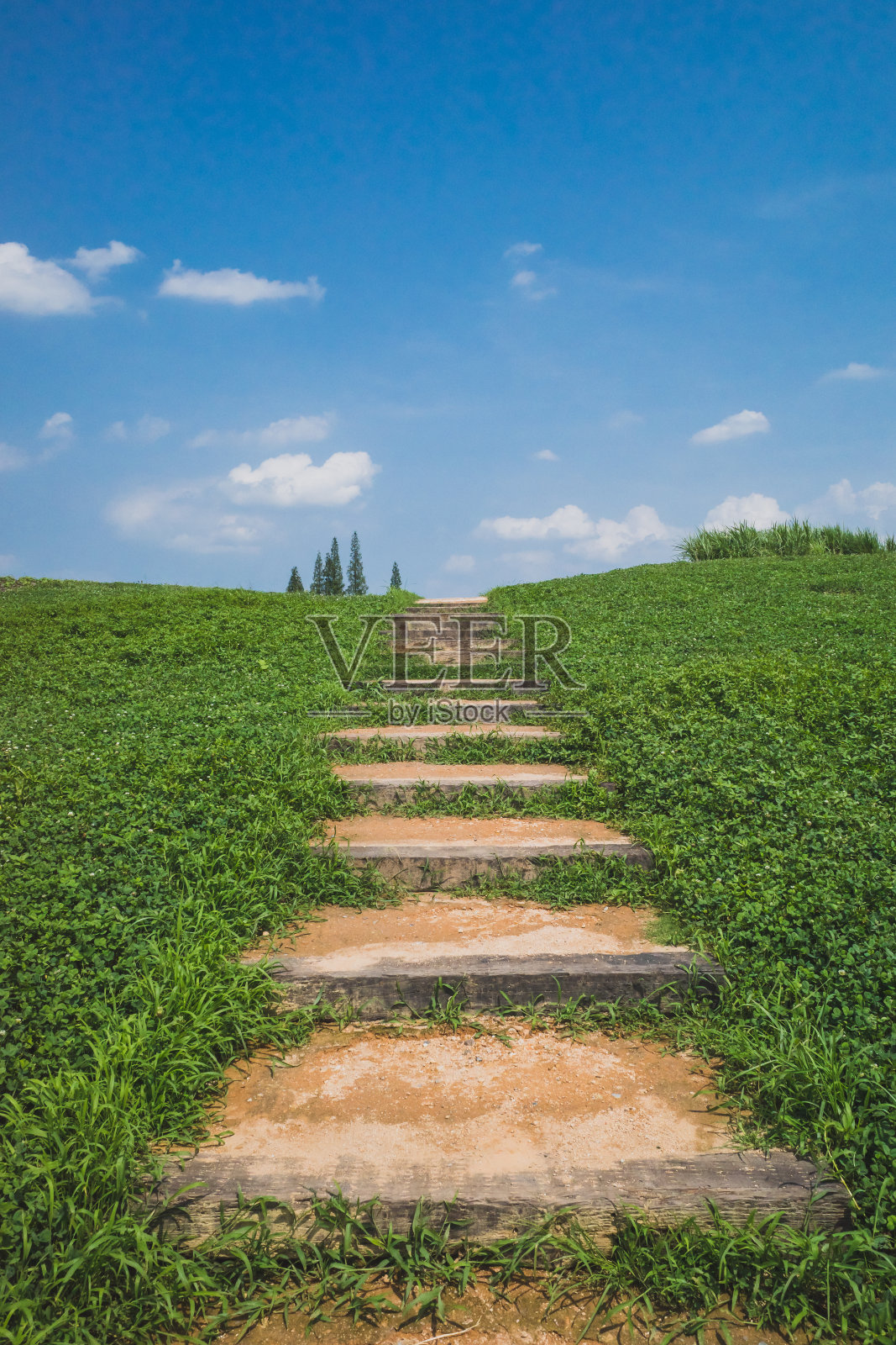 良渚考古遗址城市遗址照片摄影图片