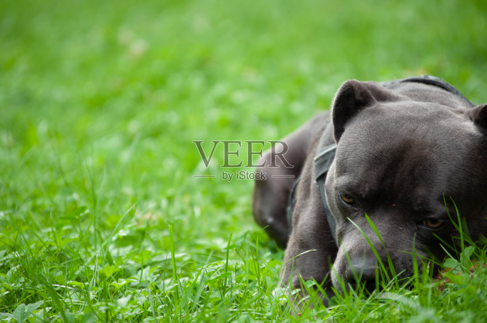 休息一下照片摄影图片