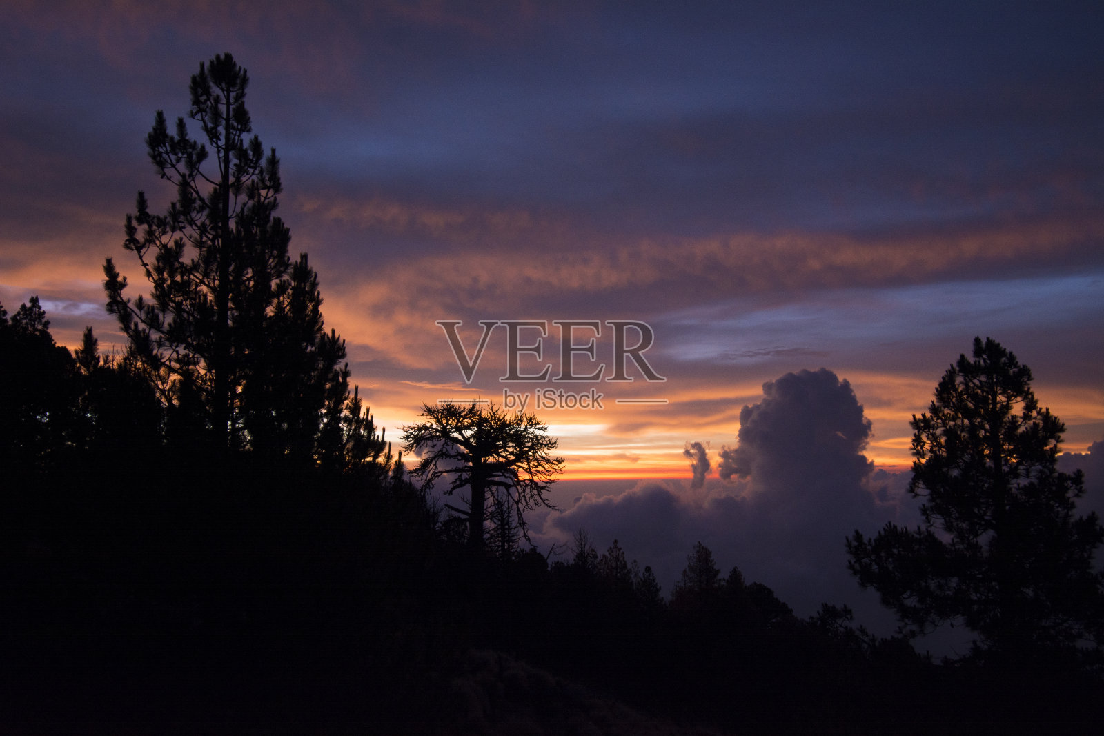 阳光的最后迹象。照片摄影图片