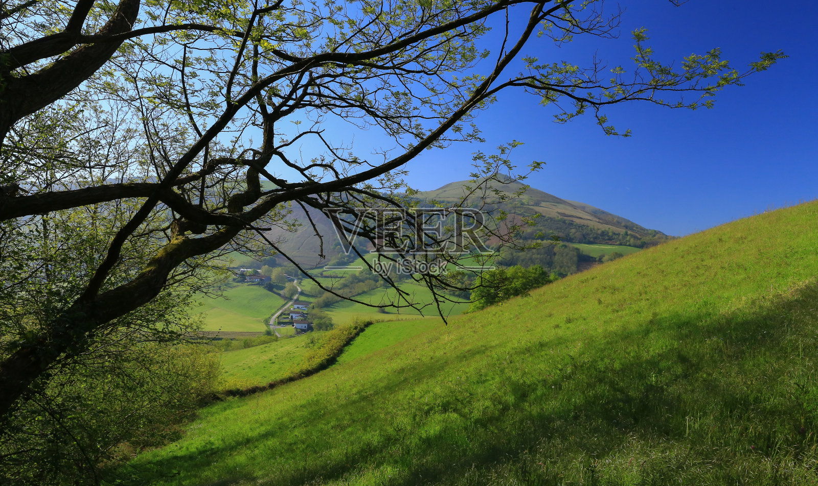 巴斯克地区照片摄影图片
