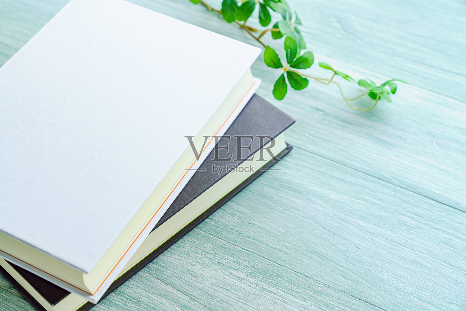 木桌上的书(木制背景的空白封面书)照片摄影图片