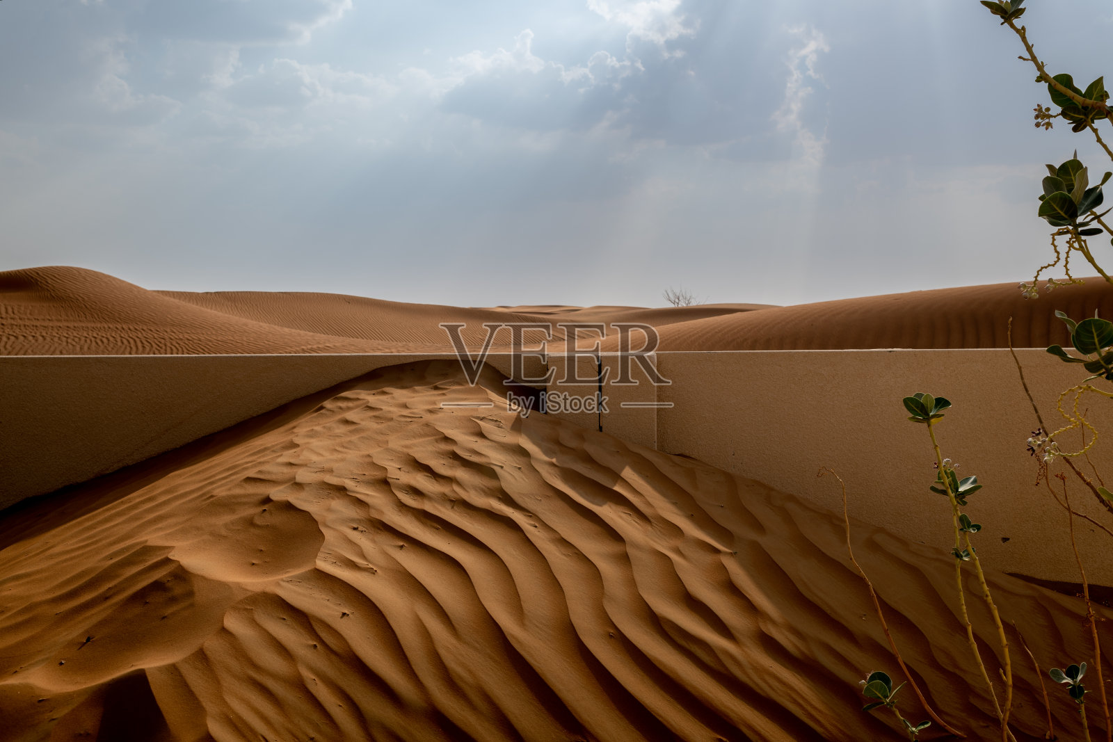 在沙漠中的废弃村庄照片摄影图片