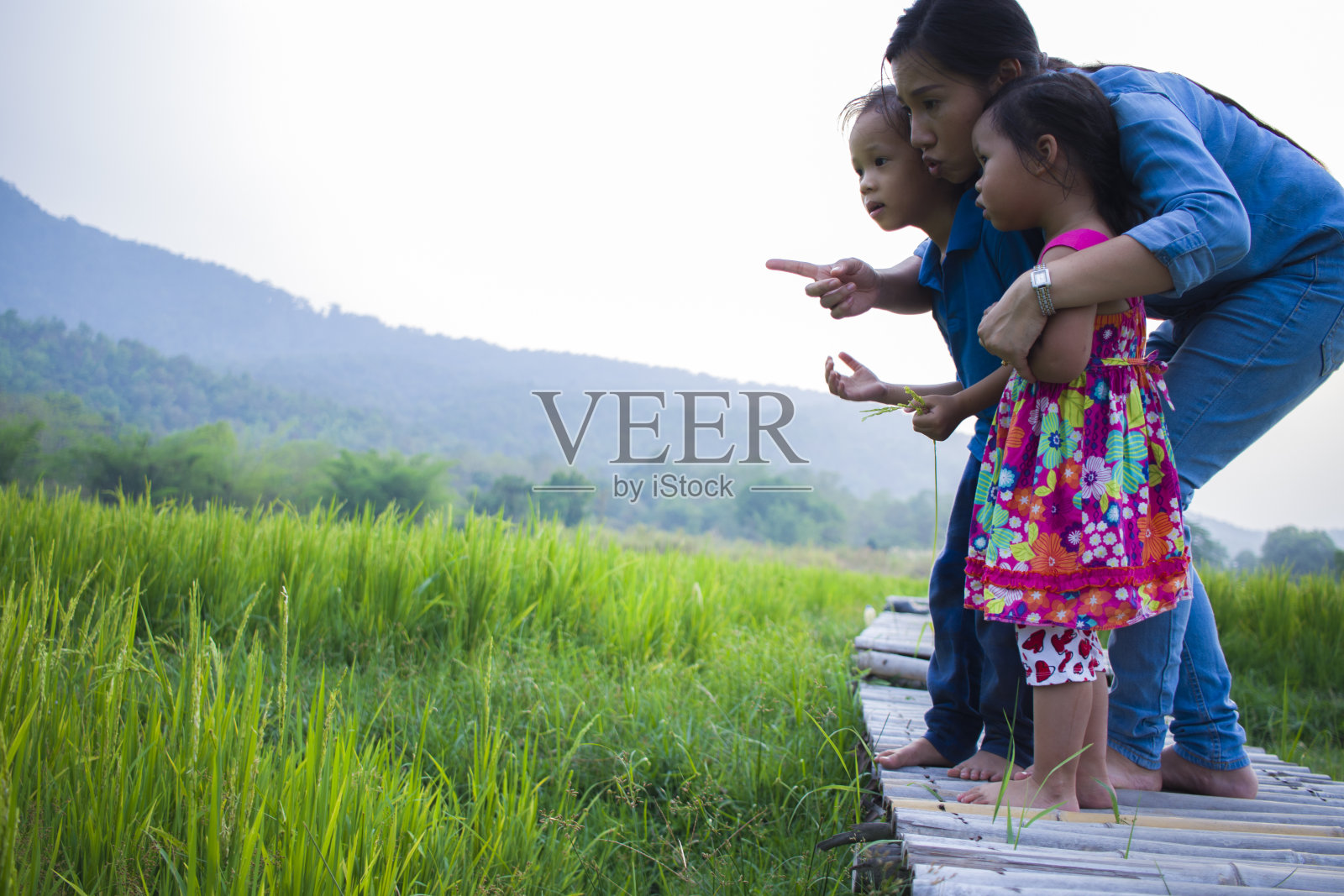 快乐的妈妈和她的孩子在户外玩耍，指着绿色的稻田里的什么东西。照片摄影图片