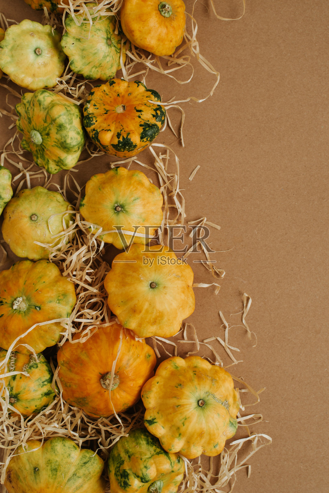 许多小南瓜。南瓜的家庭。万圣节和感恩节风格。黄色和橙色。秋天的背景。秋天的传统食物。天然的有机蔬菜。健康饮食，生态生活照片摄影图片