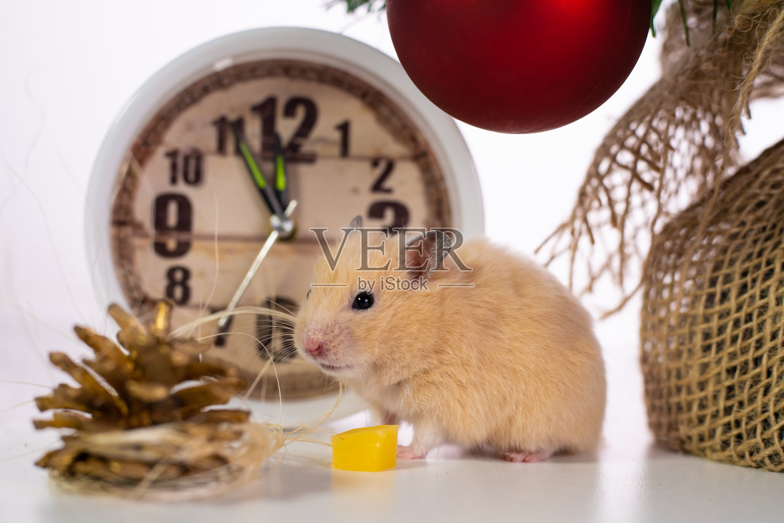 这是2020年新年的象征。老鼠靠近新年树，手表和礼物照片摄影图片