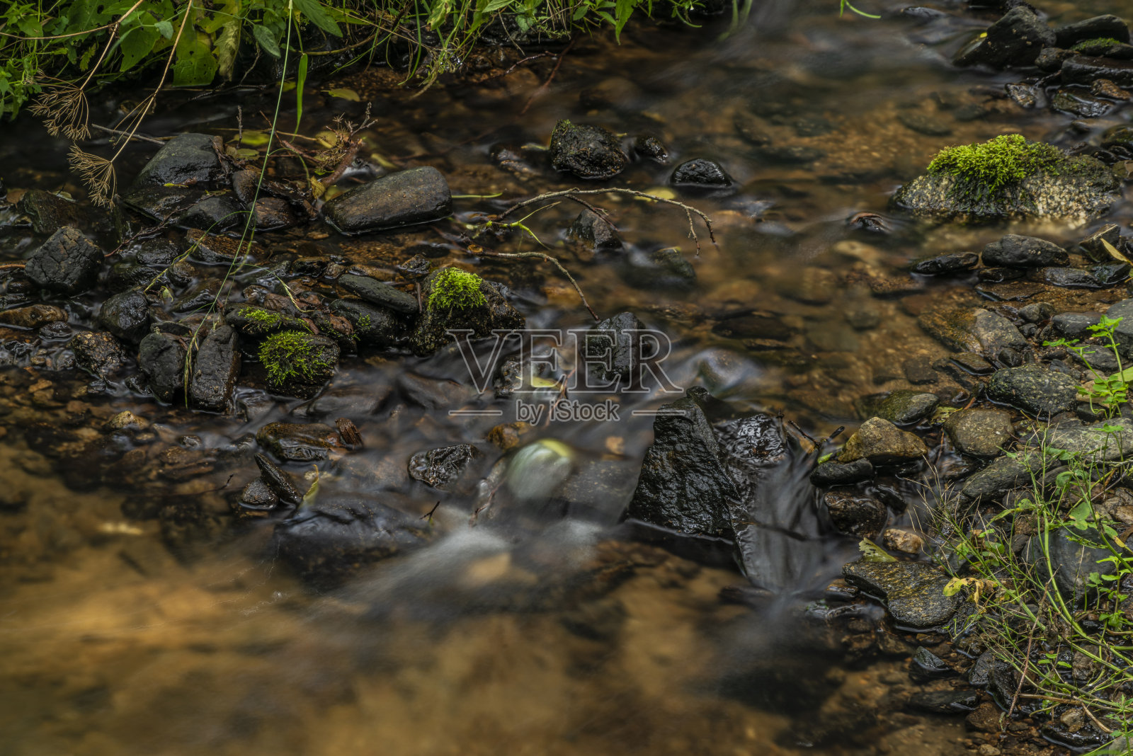 Mala Libava小溪在斯拉夫科夫斯基山脉的夏天阳光明媚的一天照片摄影图片