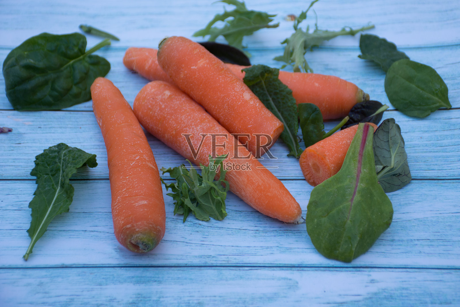 蓝色的木桌背景上放着成熟的胡萝卜和绿色的沙拉叶子。烹饪原料。收获照片摄影图片