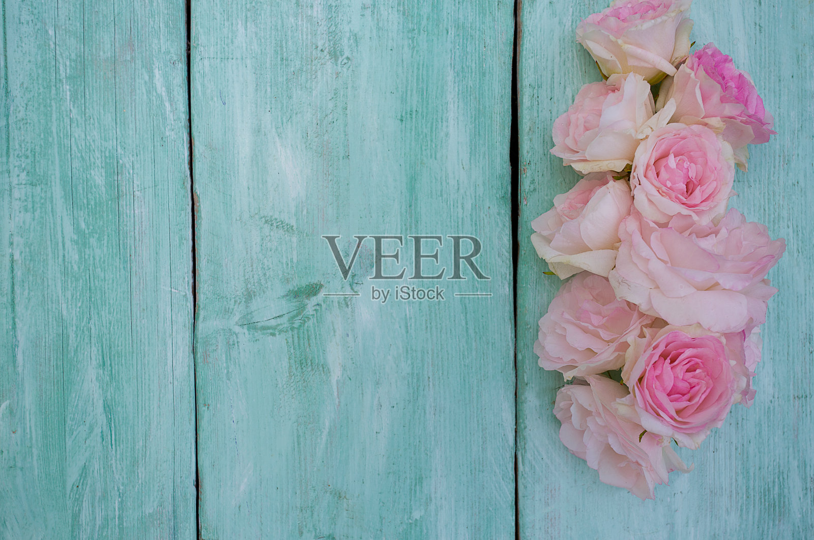 美丽的花园玫瑰在绿松石木制表面照片摄影图片