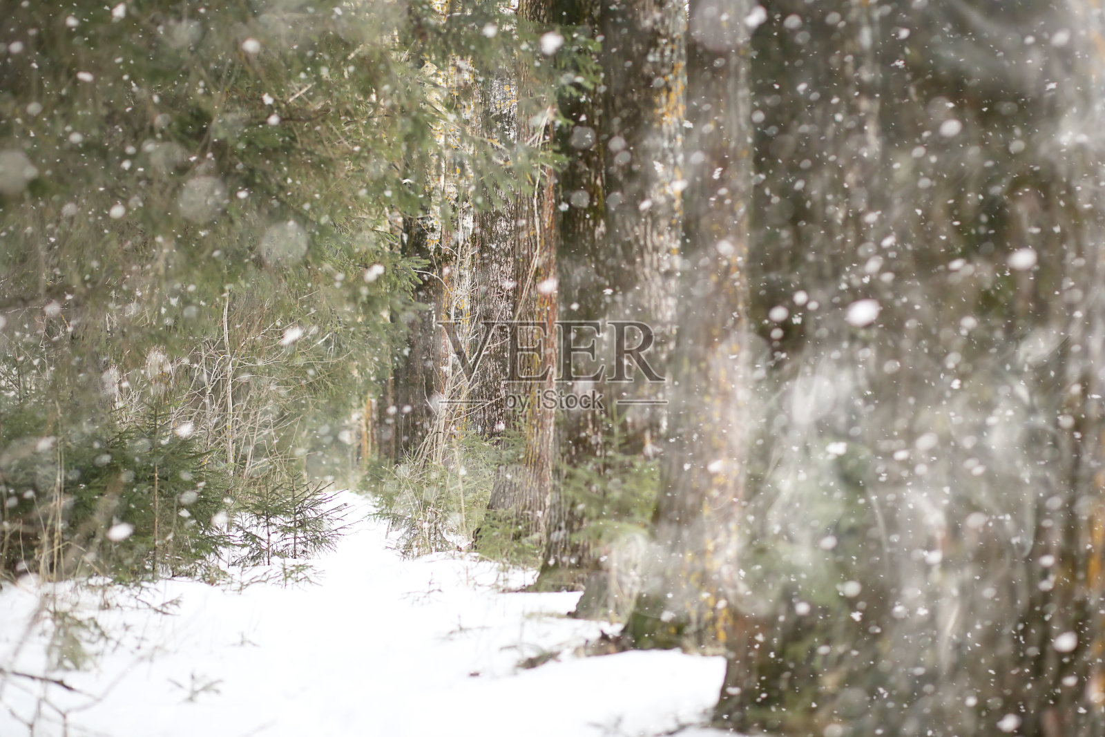 乡间田野和道路的冬季景观照片摄影图片