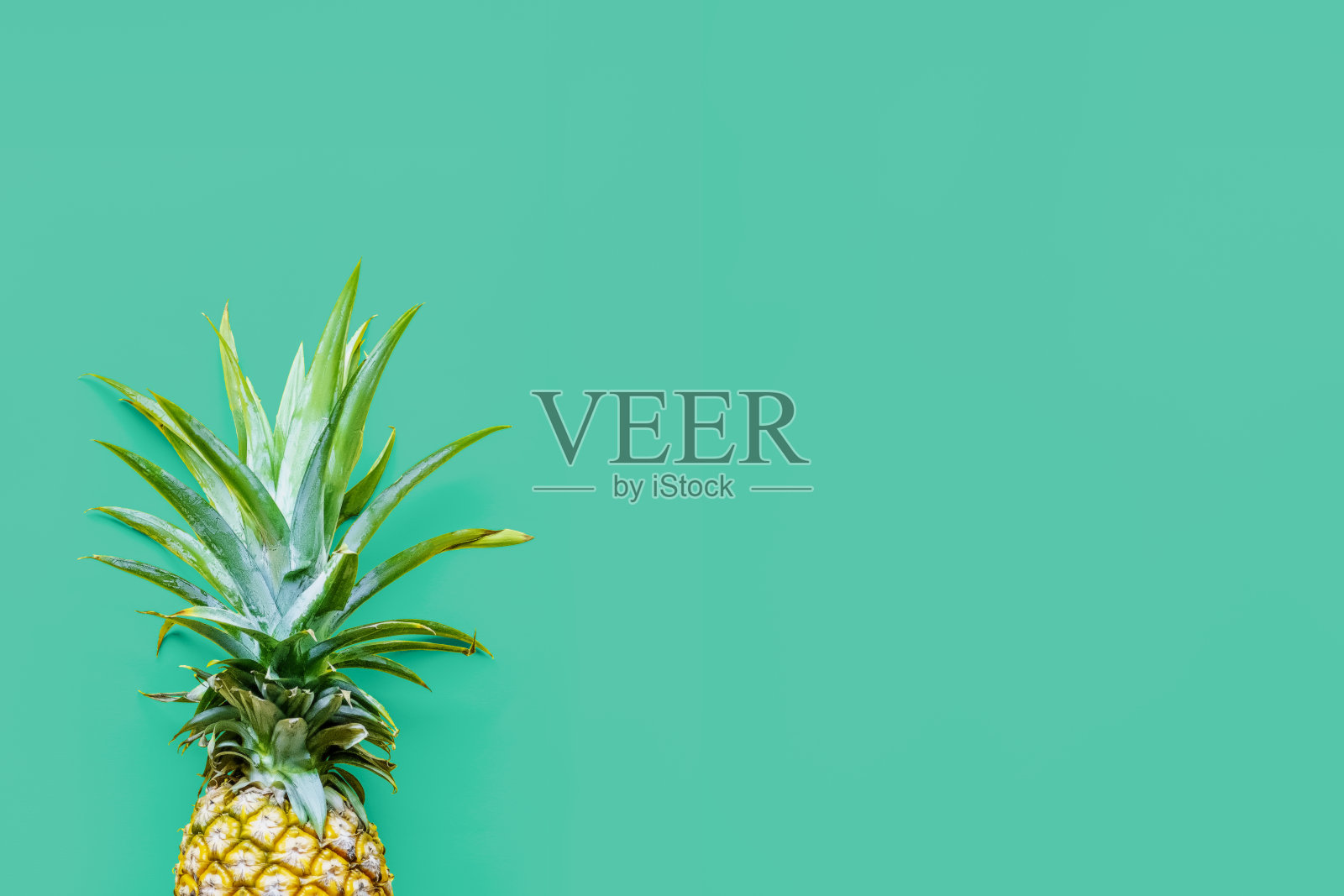 菠萝在绿色固体滴照片摄影图片