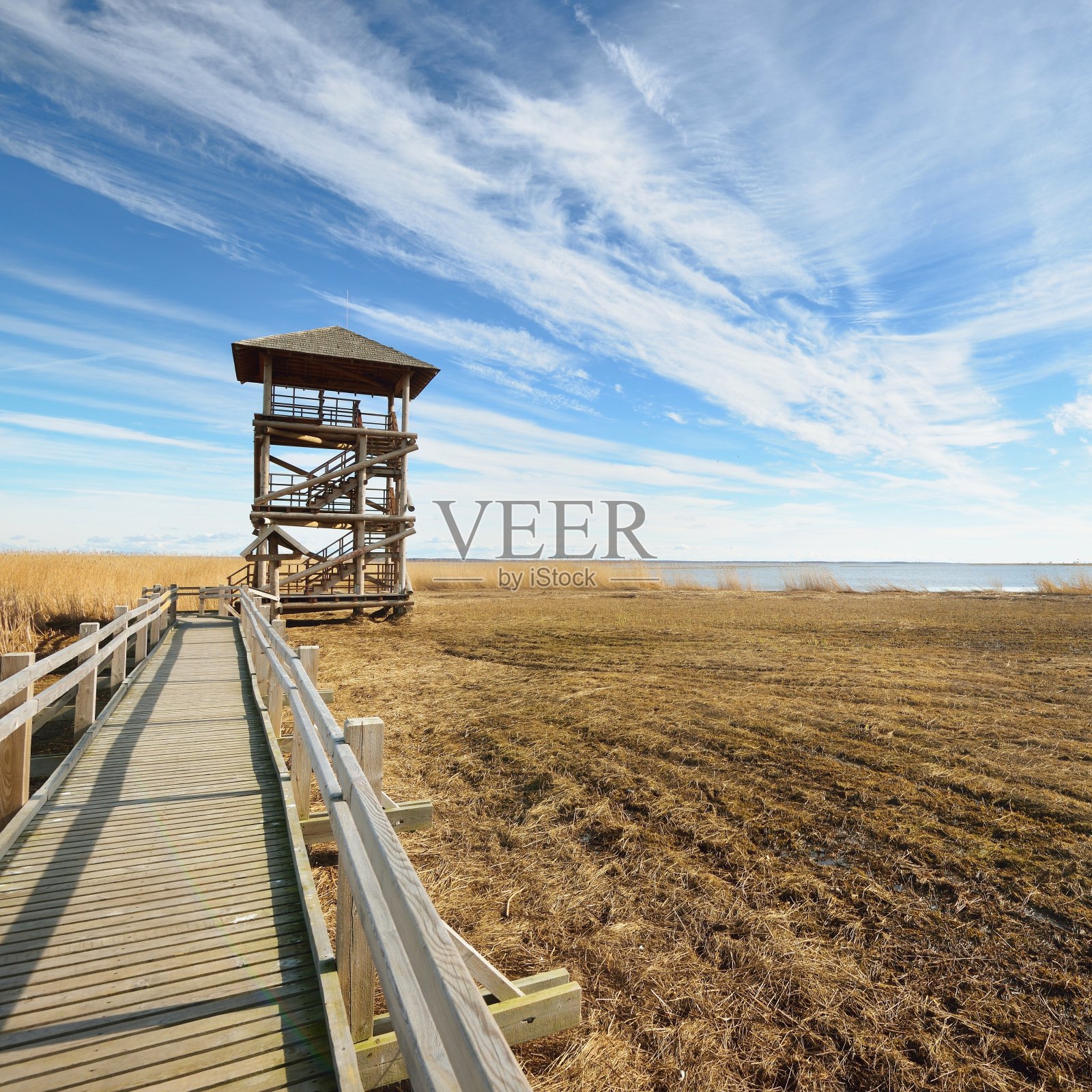 野生动物观察塔，位于拉脱维亚利帕哈湖附近的沼泽地区照片摄影图片