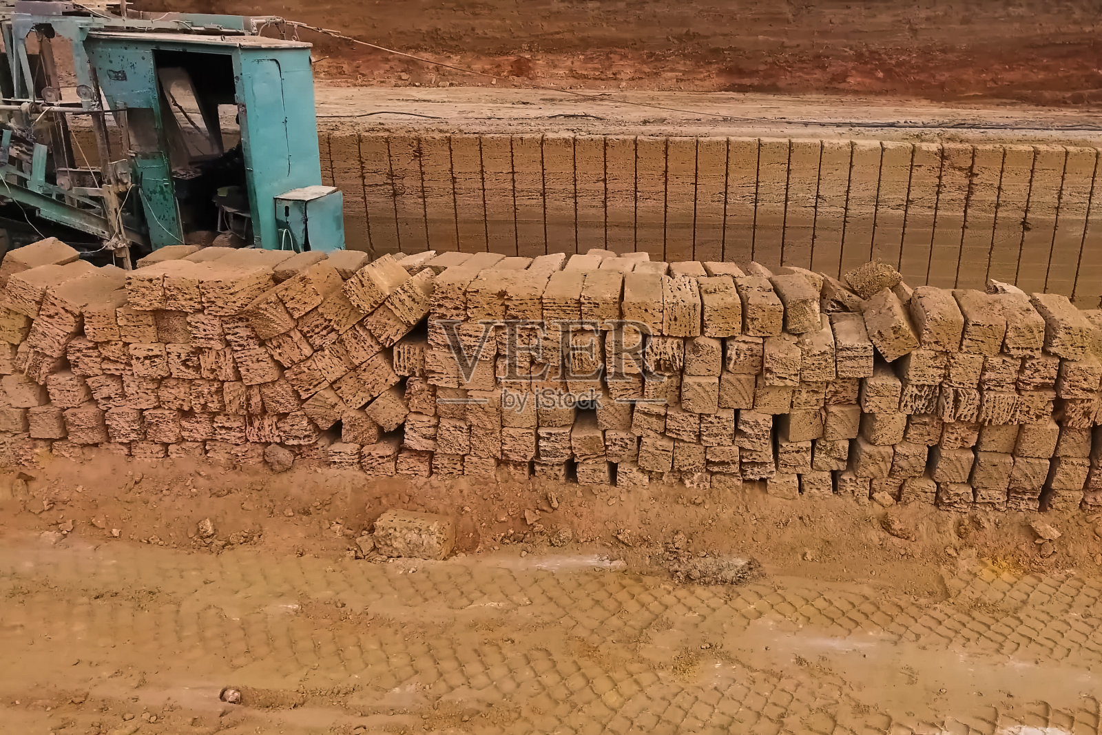 壳牌采石场的猎物。在采石场把贝壳切成一块块。照片摄影图片