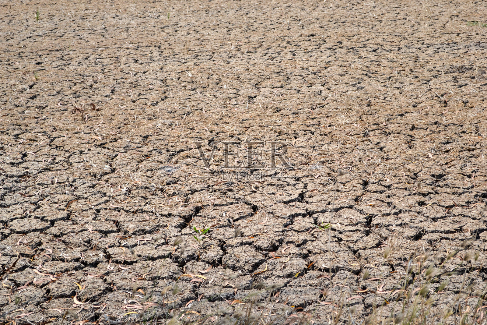 田野是干燥的，土地是破碎的，干燥的，龟裂的棕色土地的背景照片摄影图片